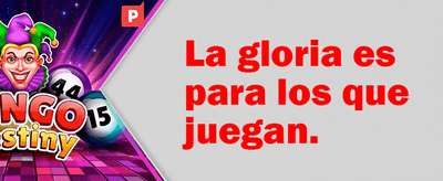 Programa de Referidos Win1